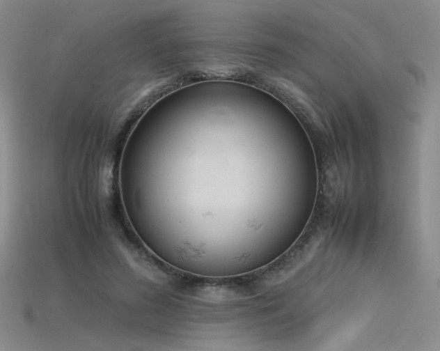 X0000115780596200911131249
