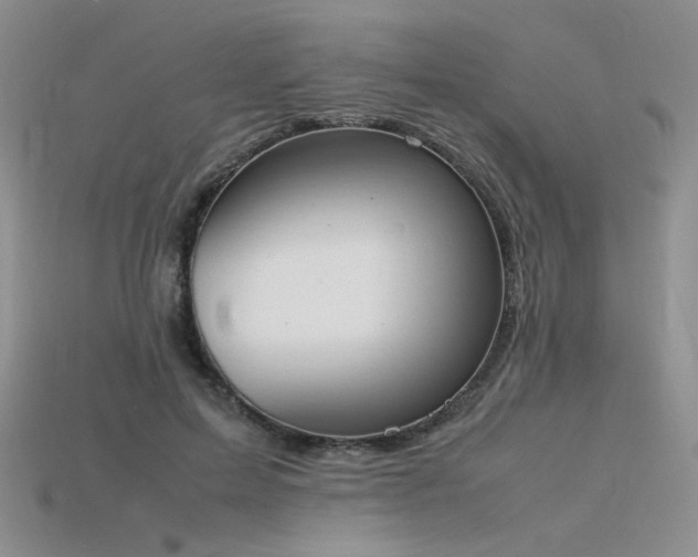 X0000115780599200911131249
