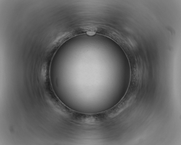 X0000115780600200911131249