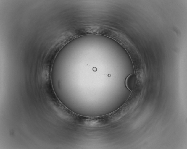 X0000115780602200911131249