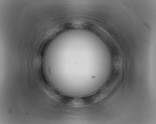 X0000115780603200911131249