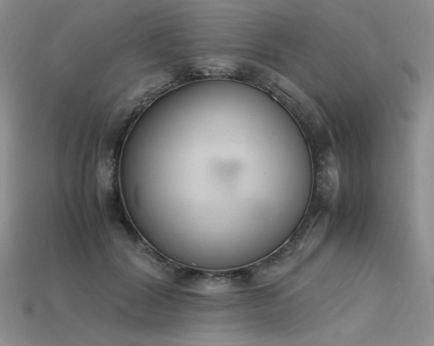 X0000115780604200911131249