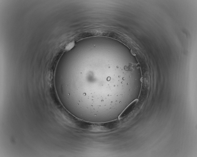 X0000115780605200911131249