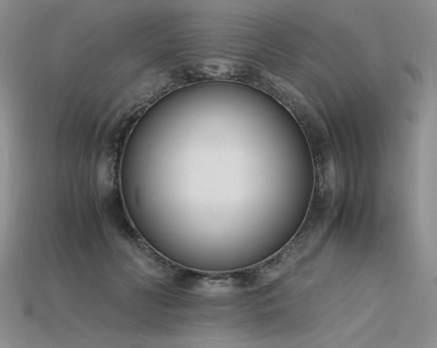X0000115780606200911131249