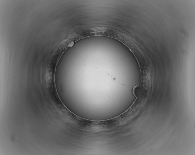 X0000115780608200911131249