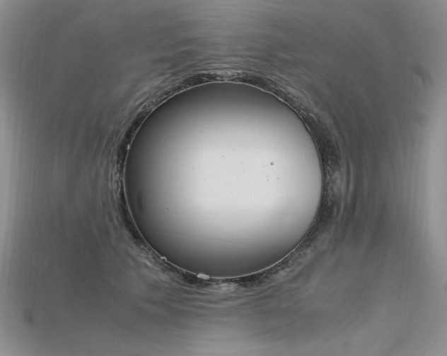 X0000115780609200911131249