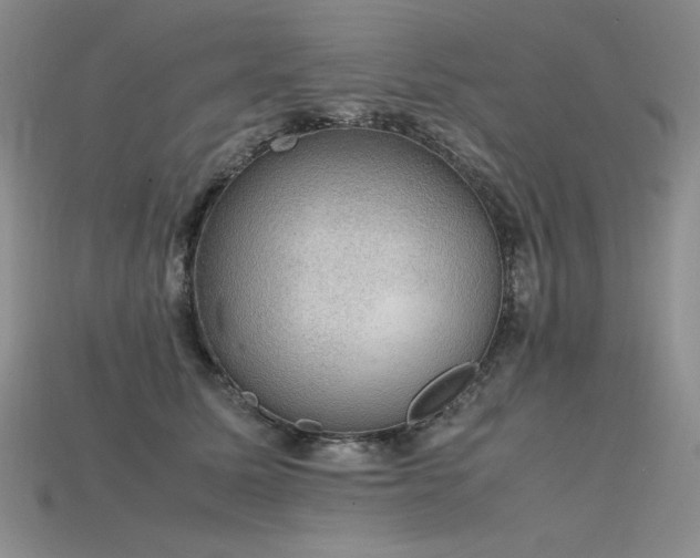 X0000115780611200911131249