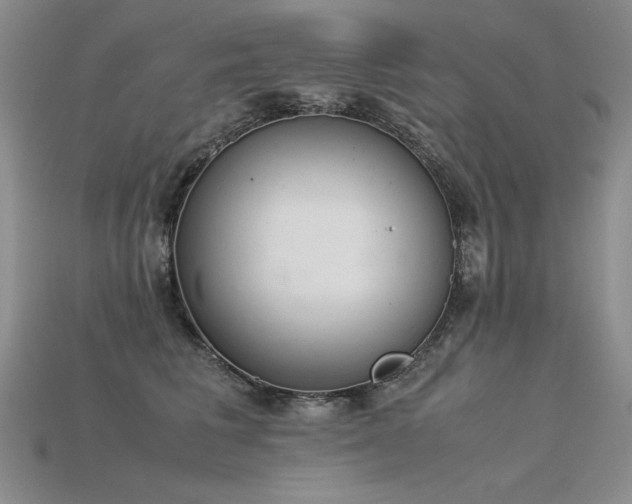 X0000115780613200911131249