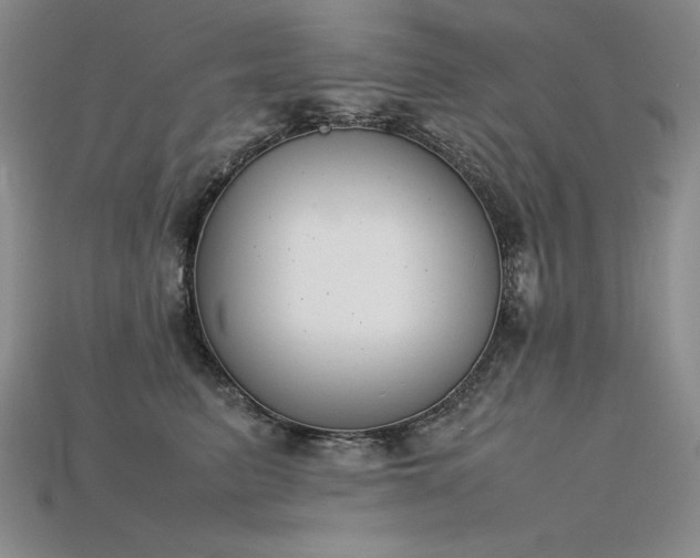 X0000115780615200911131249