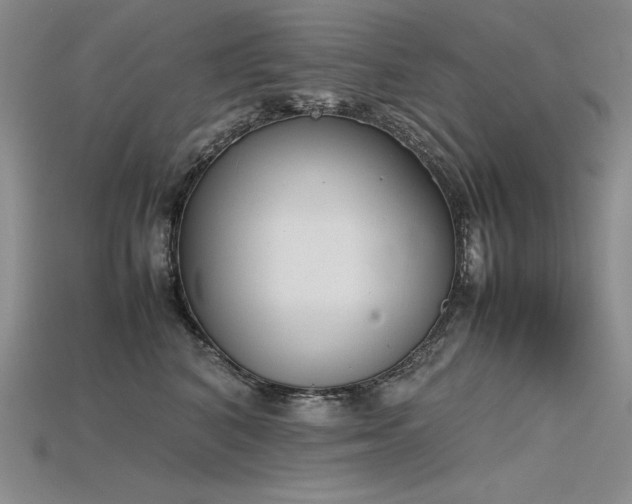 X0000115780616200911131249