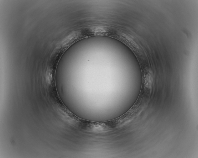 X0000115780618200911131249
