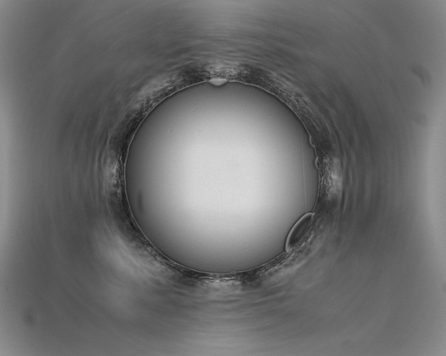 X0000115780619200911131249