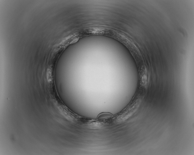 X0000115780620200911131249