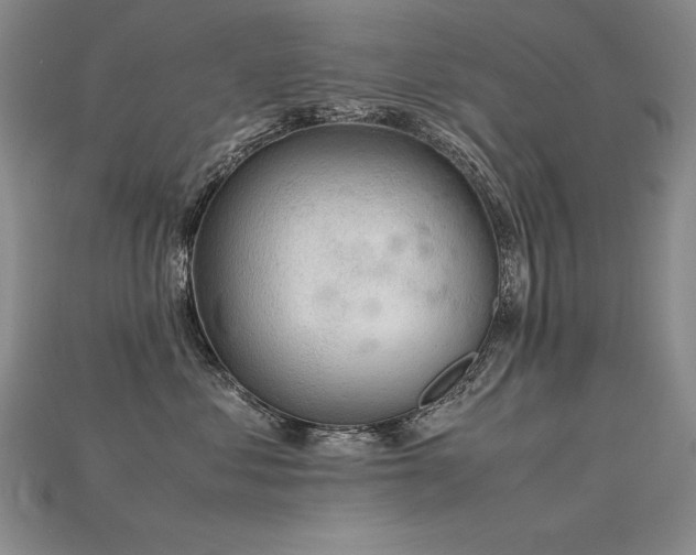 X0000115780621200911131248