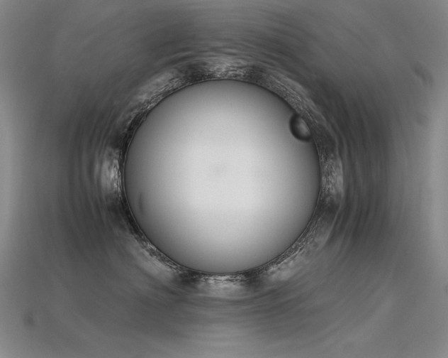 X0000115780622200911131248