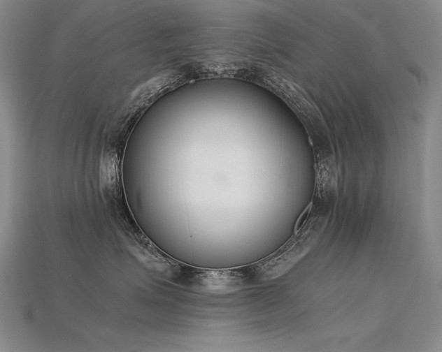 X0000115780623200911131248
