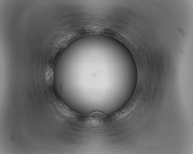 X0000115780624200911131248
