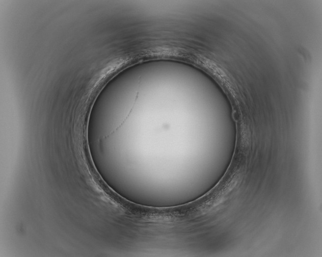 X0000115780625200911131248