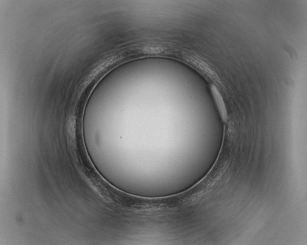X0000115780626200911131248