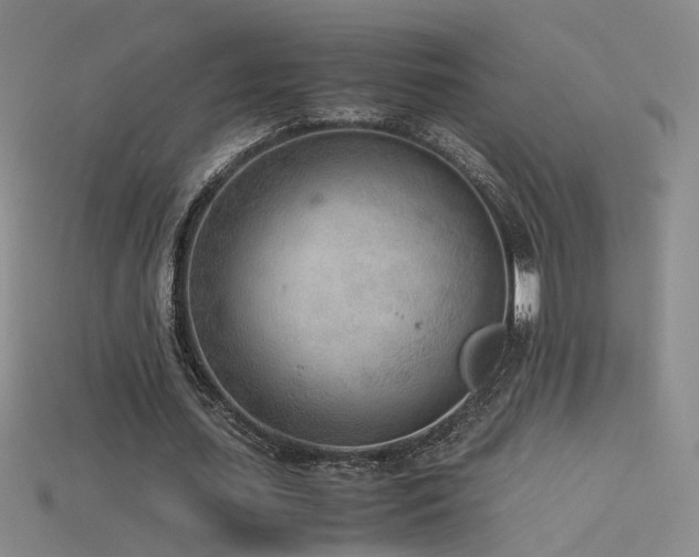 X0000115780627200911131248