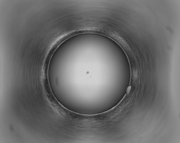 X0000115780628200911131248