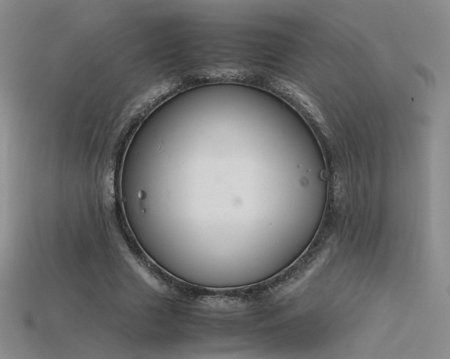 X0000115780633200911131248