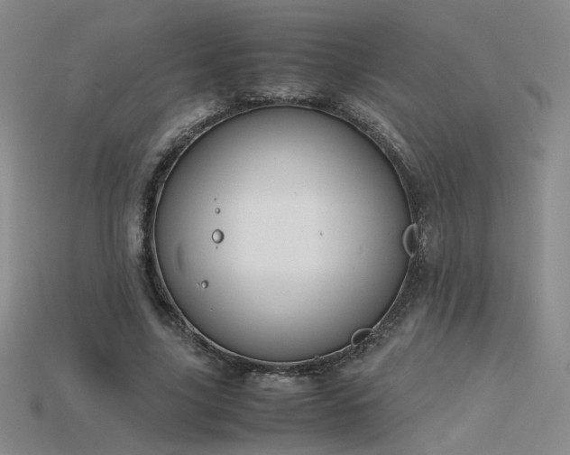 X0000115780635200911131248
