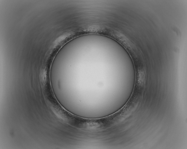 X0000115780636200911131248