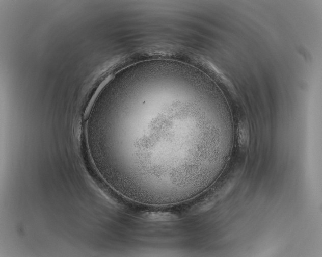 X0000115780637200911131248