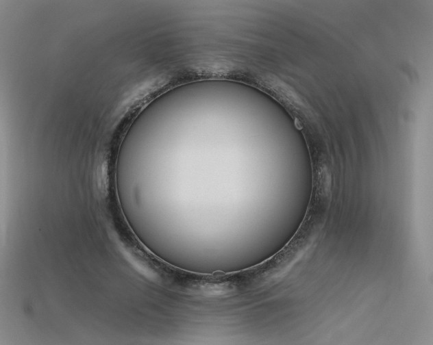 X0000115780638200911131248