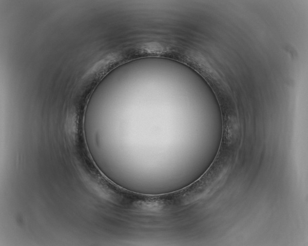 X0000115780639200911131248