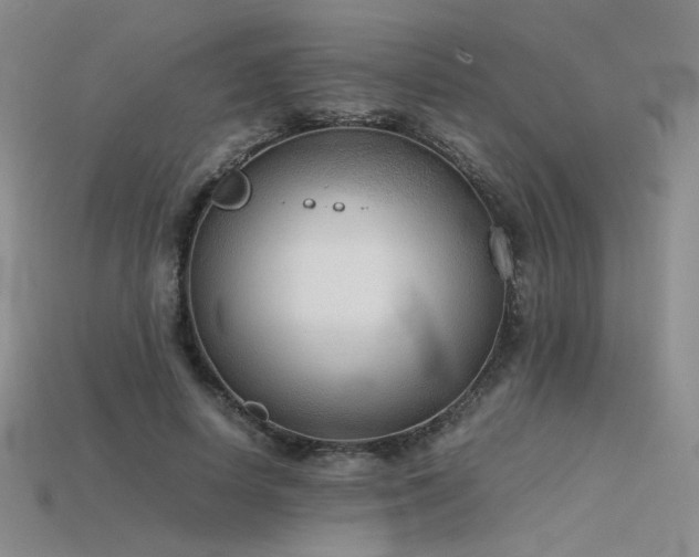 X0000115780642200911131248