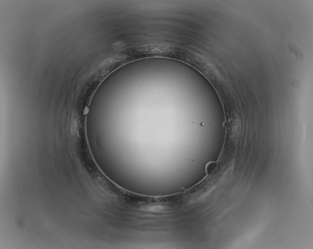 X0000115780643200911131248
