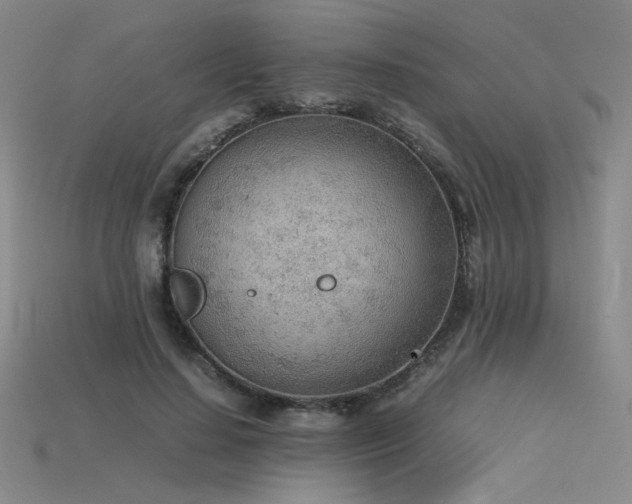 X0000115780644200911131248