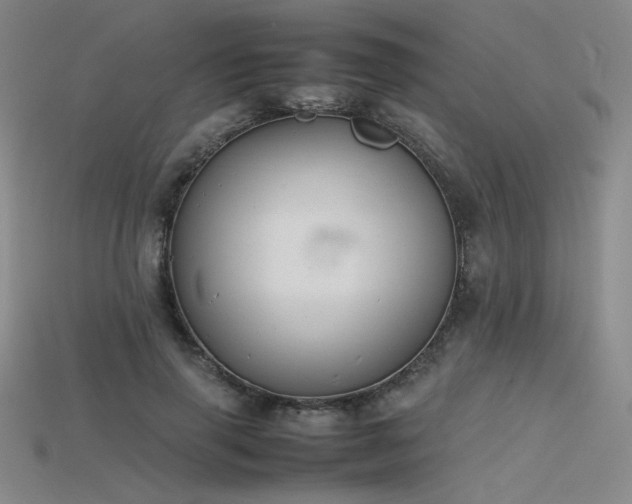 X0000115780645200911131248