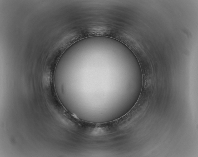 X0000115780647200911131248
