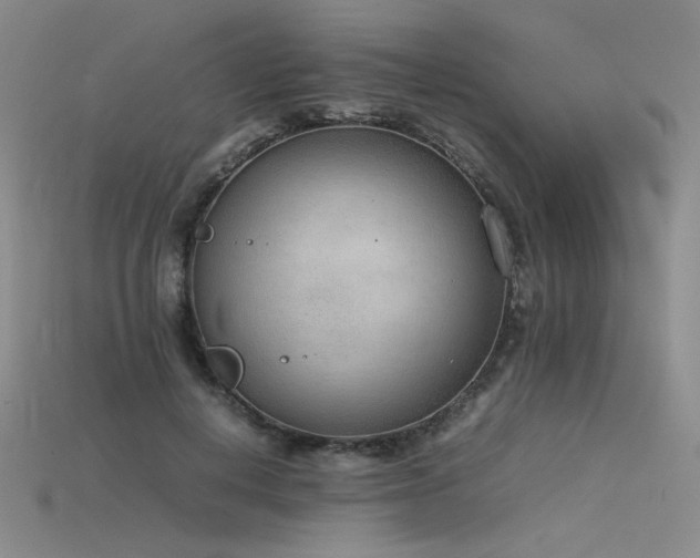 X0000115780648200911131248