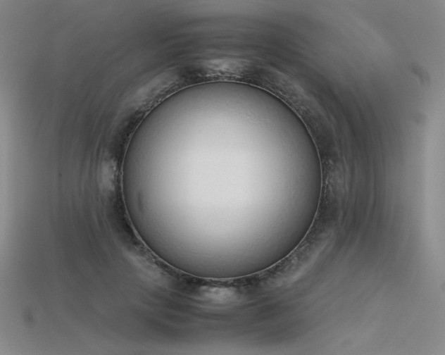 X0000115780649200911131248