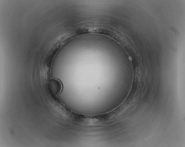 X0000115780650200911131248