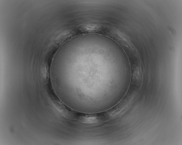 X0000115780651200911131248