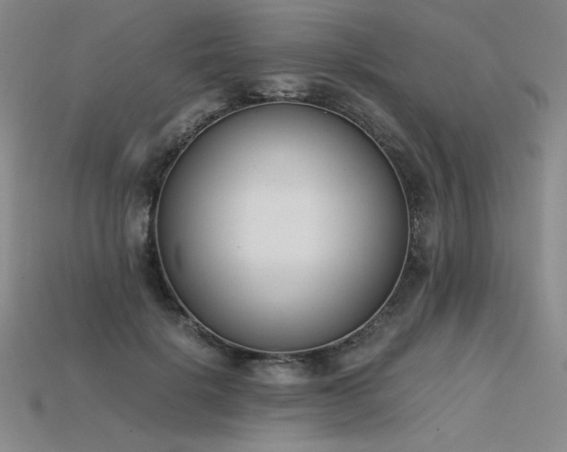 X0000115780652200911131248