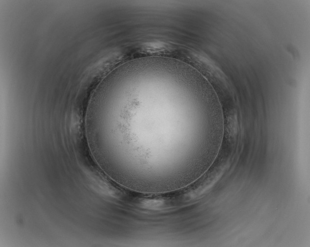 X0000115780653200911131248