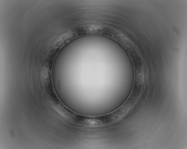 X0000115780654200911131248