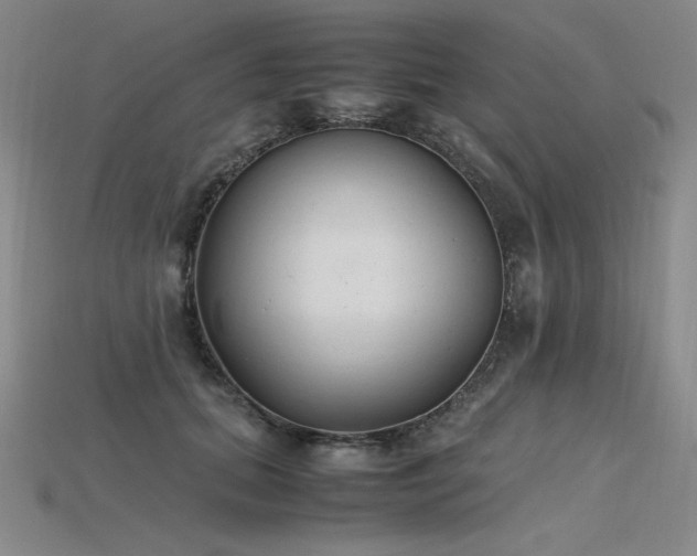 X0000115780655200911131248