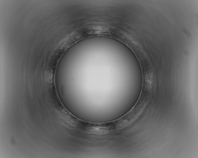 X0000115780657200911131248