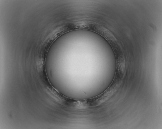 X0000115780660200911131248