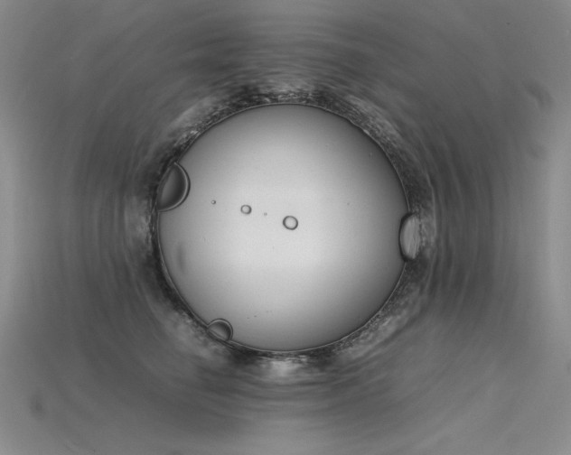 X0000115780662200911131248