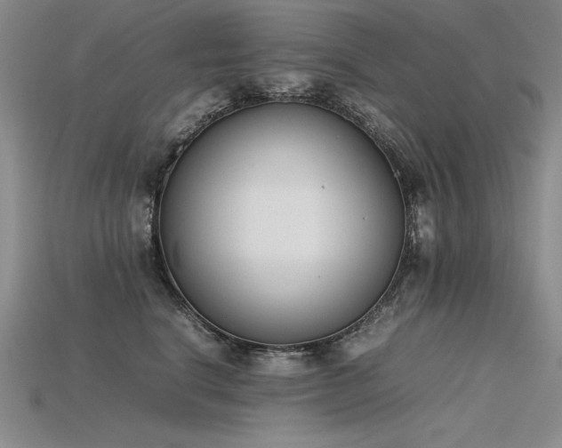 X0000115780664200911131248