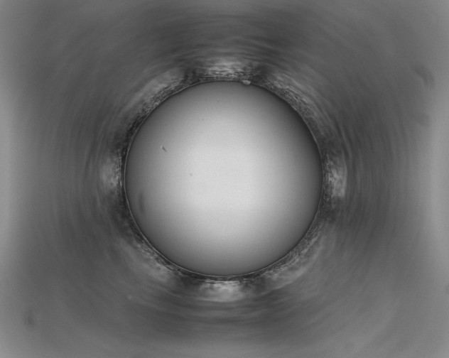 X0000115780665200911131248