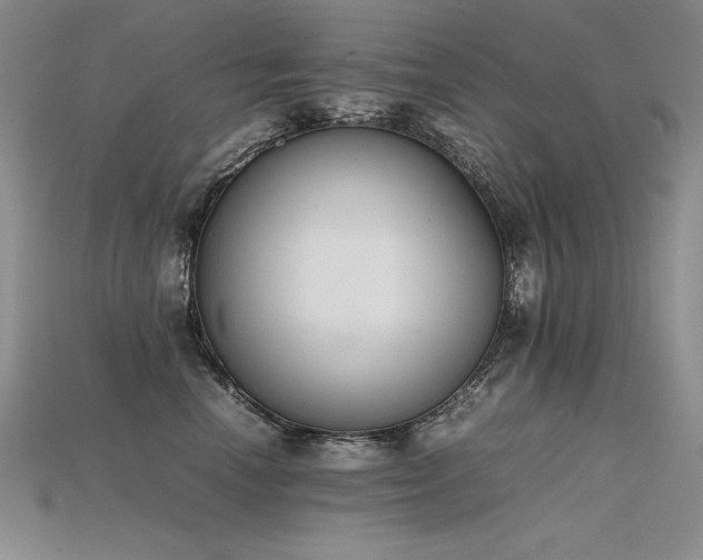 X0000115780666200911131248